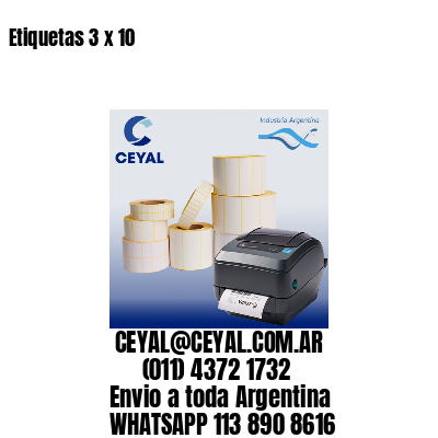 Etiquetas 3 x 10