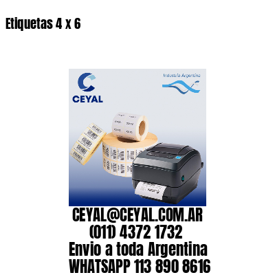 Etiquetas 4 x 6