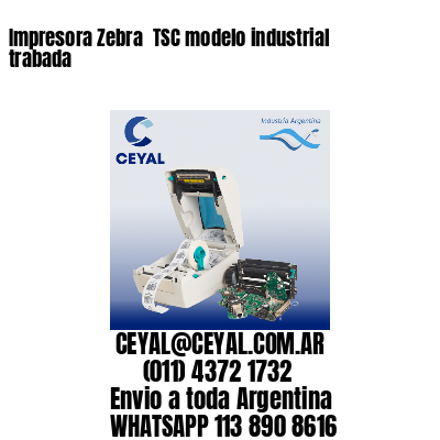 Impresora Zebra  TSC modelo industrial trabada