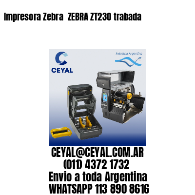 Impresora Zebra  ZEBRA ZT230 trabada