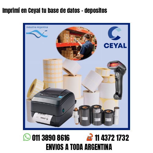 Imprimí en Ceyal tu base de datos – depositos
