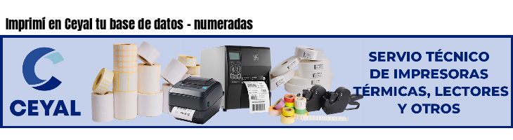 Imprimí en Ceyal tu base de datos - numeradas