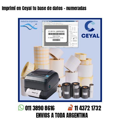 Imprimí en Ceyal tu base de datos – numeradas
