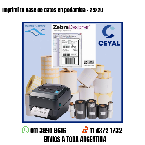 Imprimí tu base de datos en poliamida – 29X20