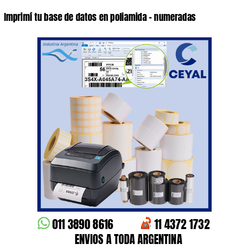 Imprimí tu base de datos en poliamida – numeradas