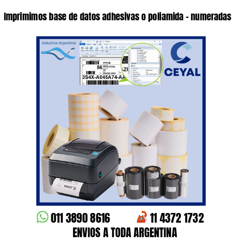 Imprimimos base de datos adhesivas o poliamida – numeradas