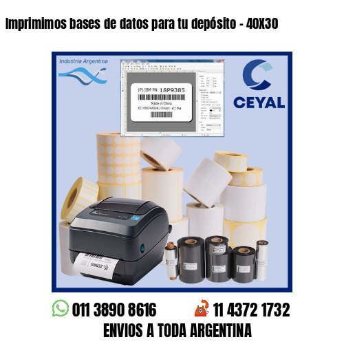 Imprimimos bases de datos para tu depósito – 40X30