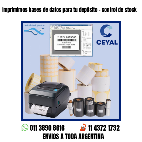 Imprimimos bases de datos para tu depósito – control de stock