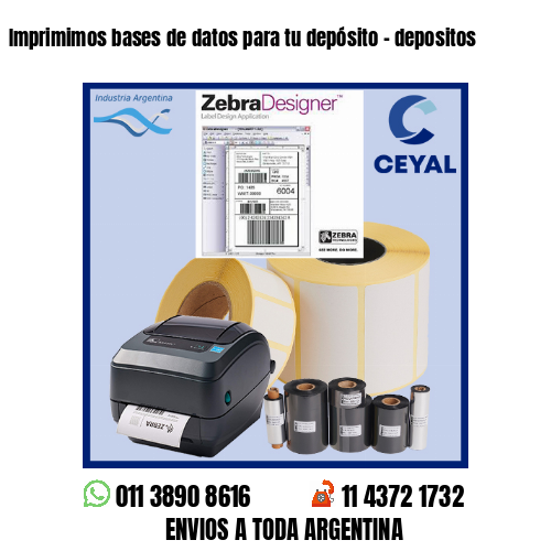 Imprimimos bases de datos para tu depósito – depositos