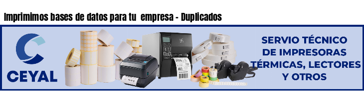 Imprimimos bases de datos para tu  empresa - Duplicados