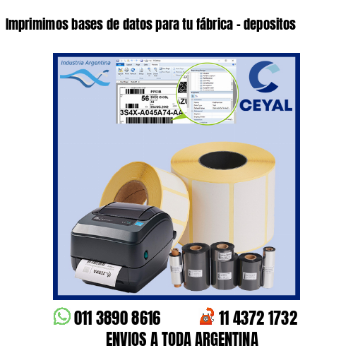 Imprimimos bases de datos para tu fábrica – depositos