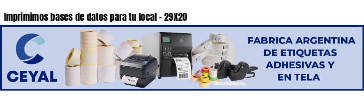 Imprimimos bases de datos para tu local - 29X20