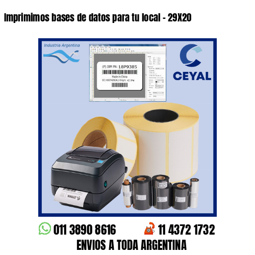 Imprimimos bases de datos para tu local – 29X20