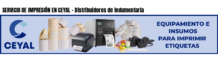 SERVICIO DE IMPRESIÓN EN CEYAL - Distribuidores de indumentaria
