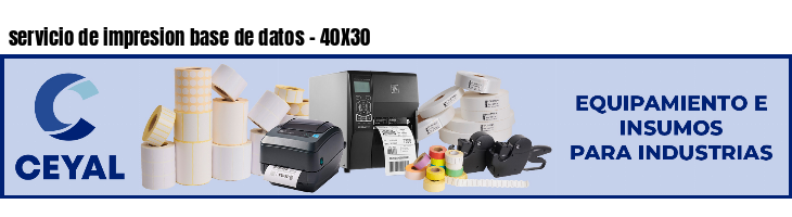servicio de impresion base de datos - 40X30