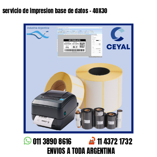 servicio de impresion base de datos – 40X30