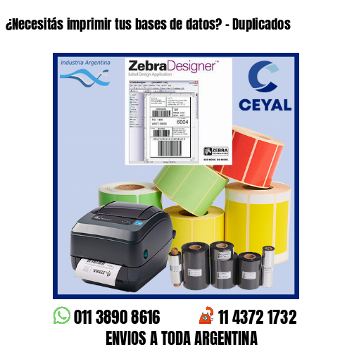 ¿Necesitás imprimir tus bases de datos? – Duplicados