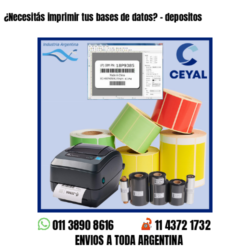 ¿Necesitás imprimir tus bases de datos? – depositos