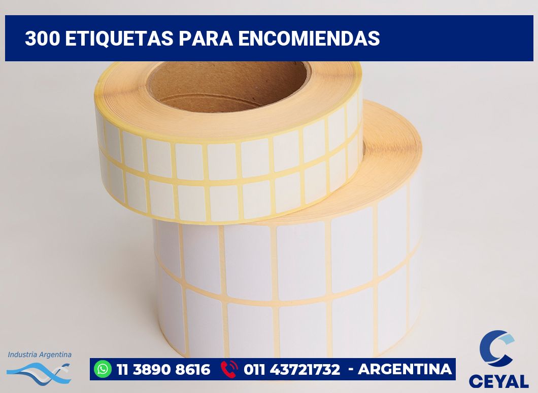 300 Etiquetas para encomiendas