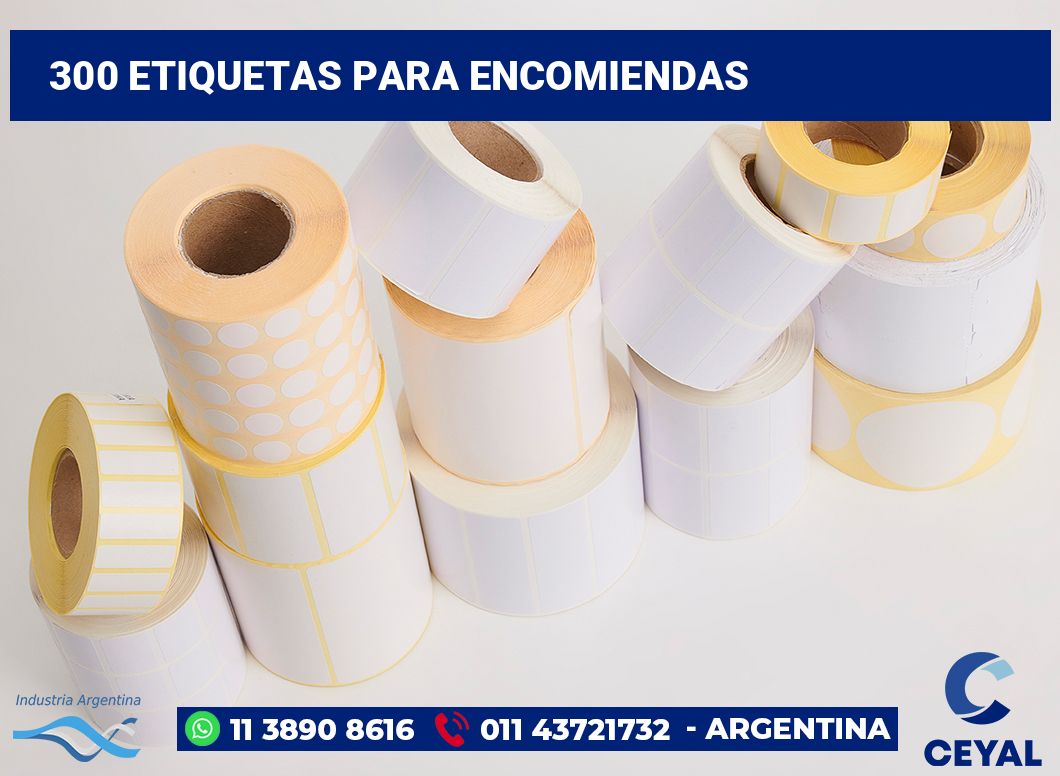 300 Etiquetas para encomiendas