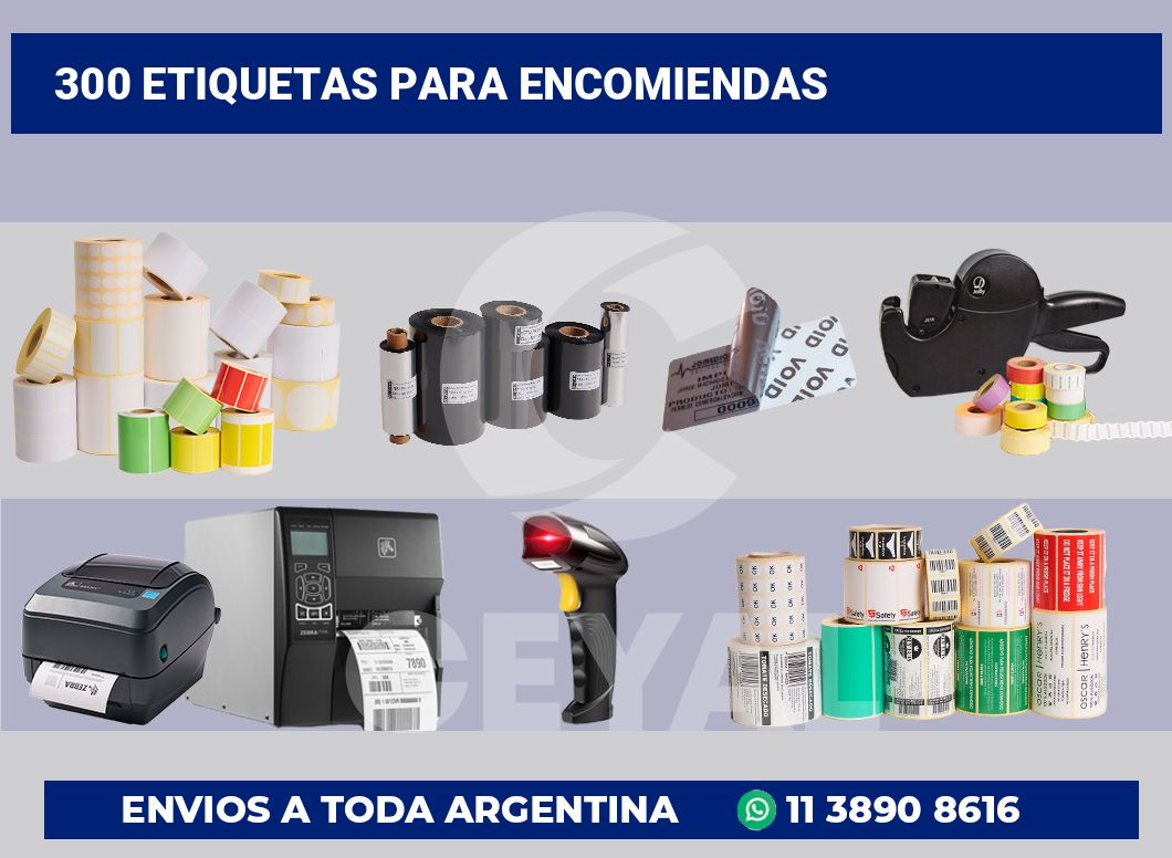 300 Etiquetas para encomiendas