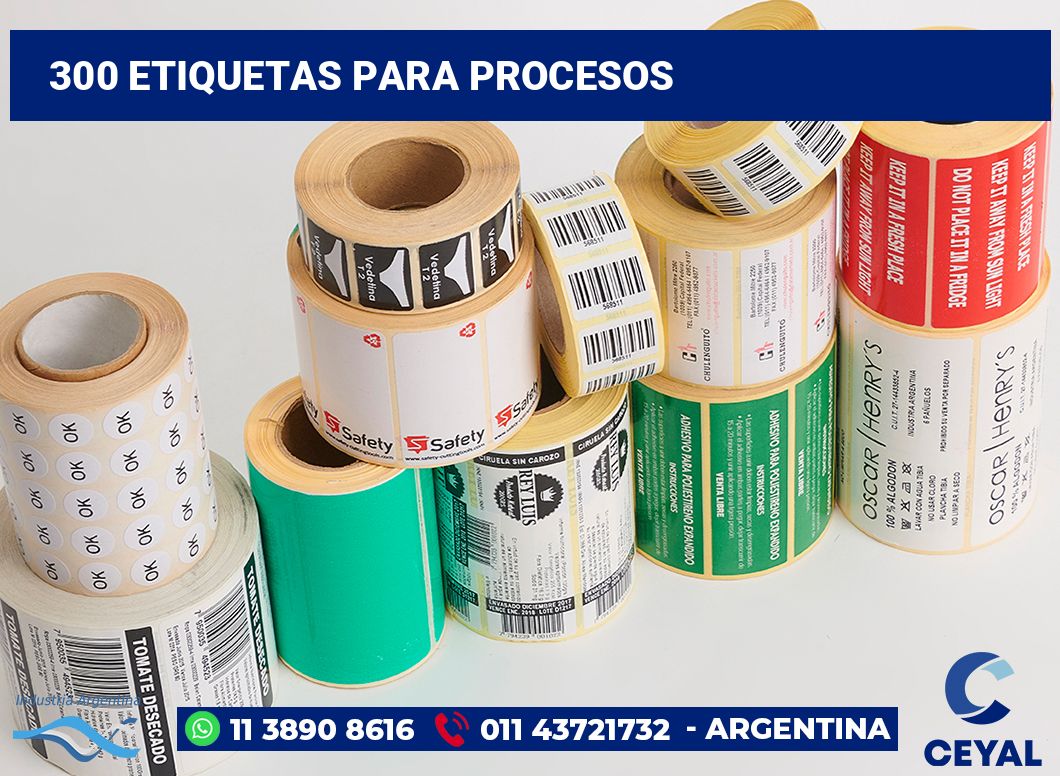 300 Etiquetas para procesos