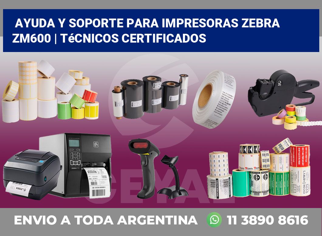 Ayuda y soporte para impresoras Zebra ZM600 | Técnicos certificados