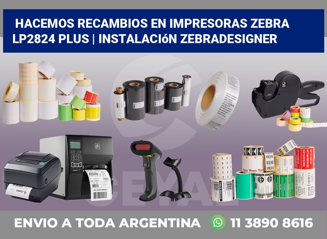 Hacemos recambios en impresoras Zebra LP2824 Plus | Instalación ZebraDesigner