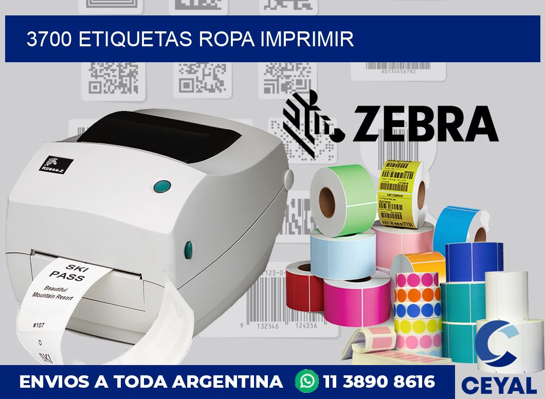 3700 Etiquetas ropa imprimir