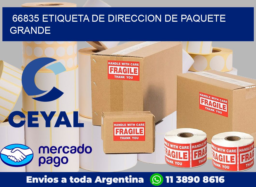 66835 Etiqueta de direccion de paquete grande