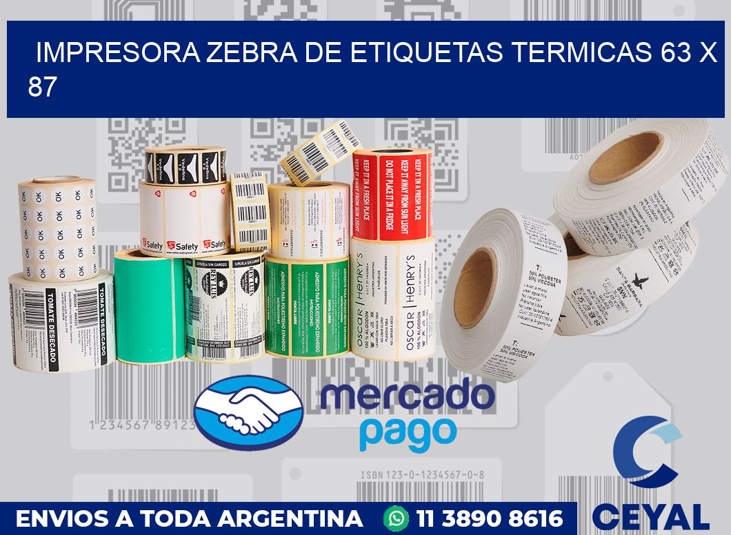 Impresora Zebra de etiquetas termicas 63 x 87