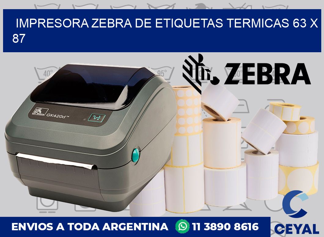Impresora Zebra de etiquetas termicas 63 x 87