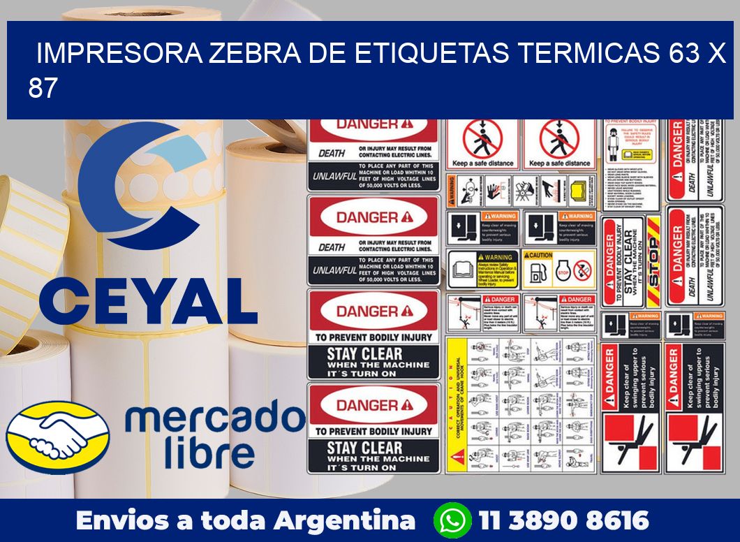 Impresora Zebra de etiquetas termicas 63 x 87