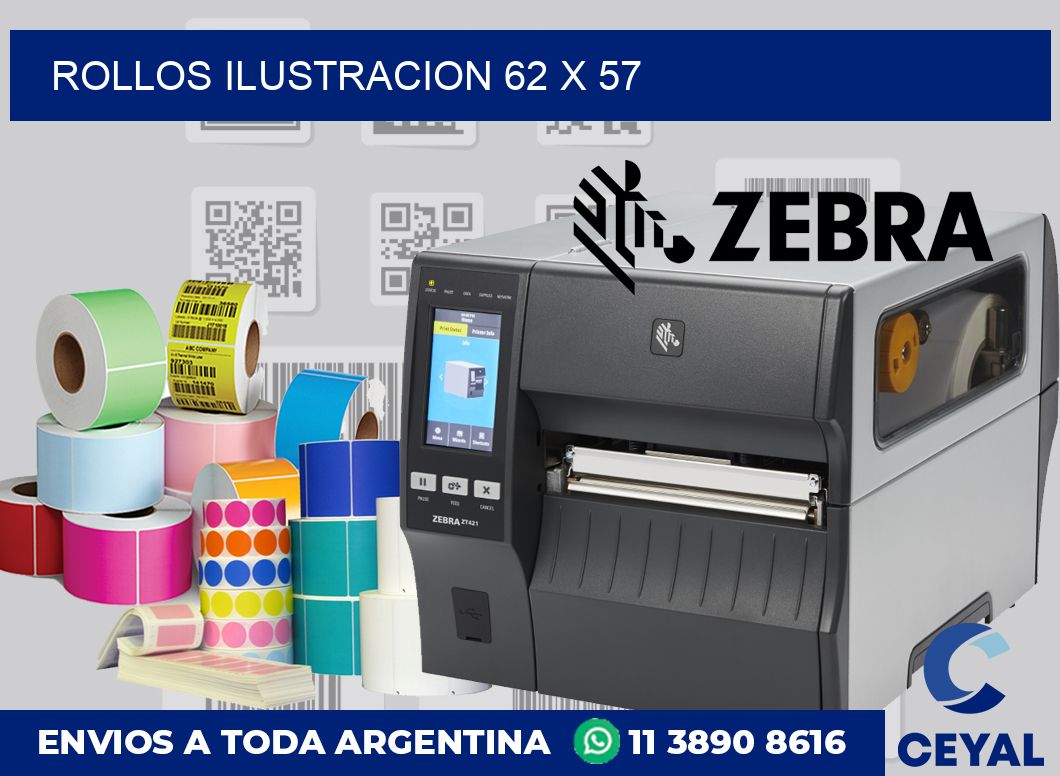 Rollos ilustracion 62 x 57