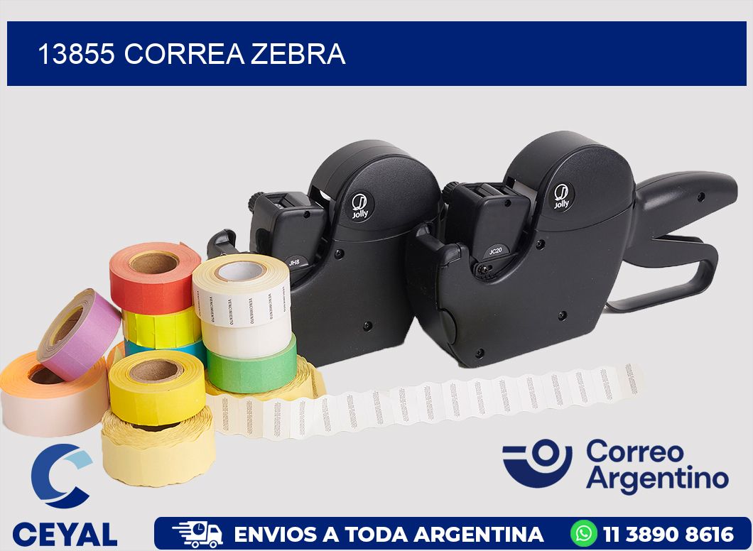 13855 CORREA ZEBRA