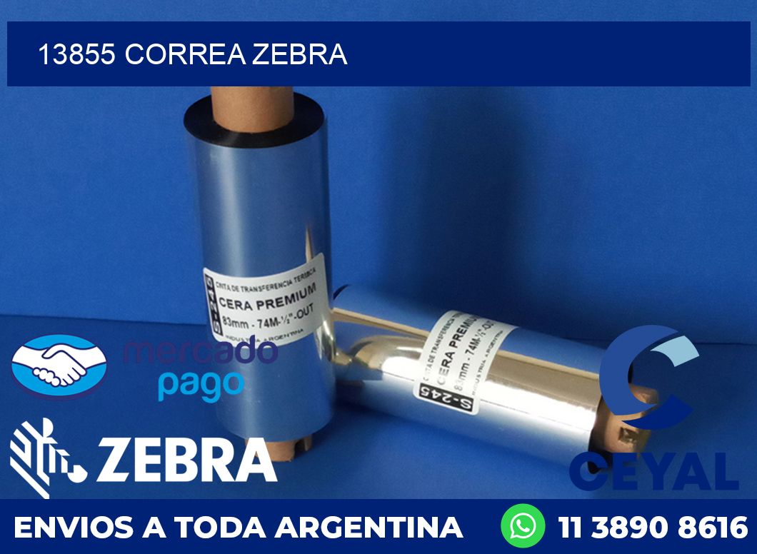 13855 CORREA ZEBRA
