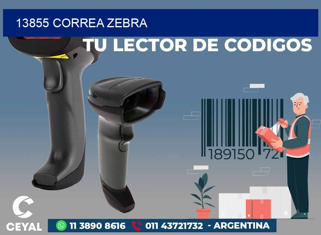 13855 CORREA ZEBRA