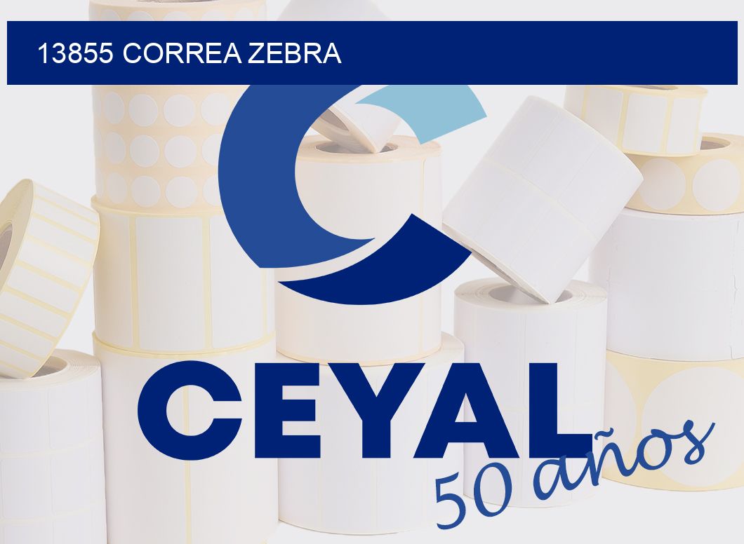 13855 CORREA ZEBRA