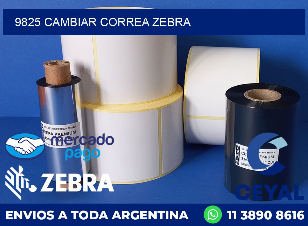 9825 CAMBIAR CORREA ZEBRA