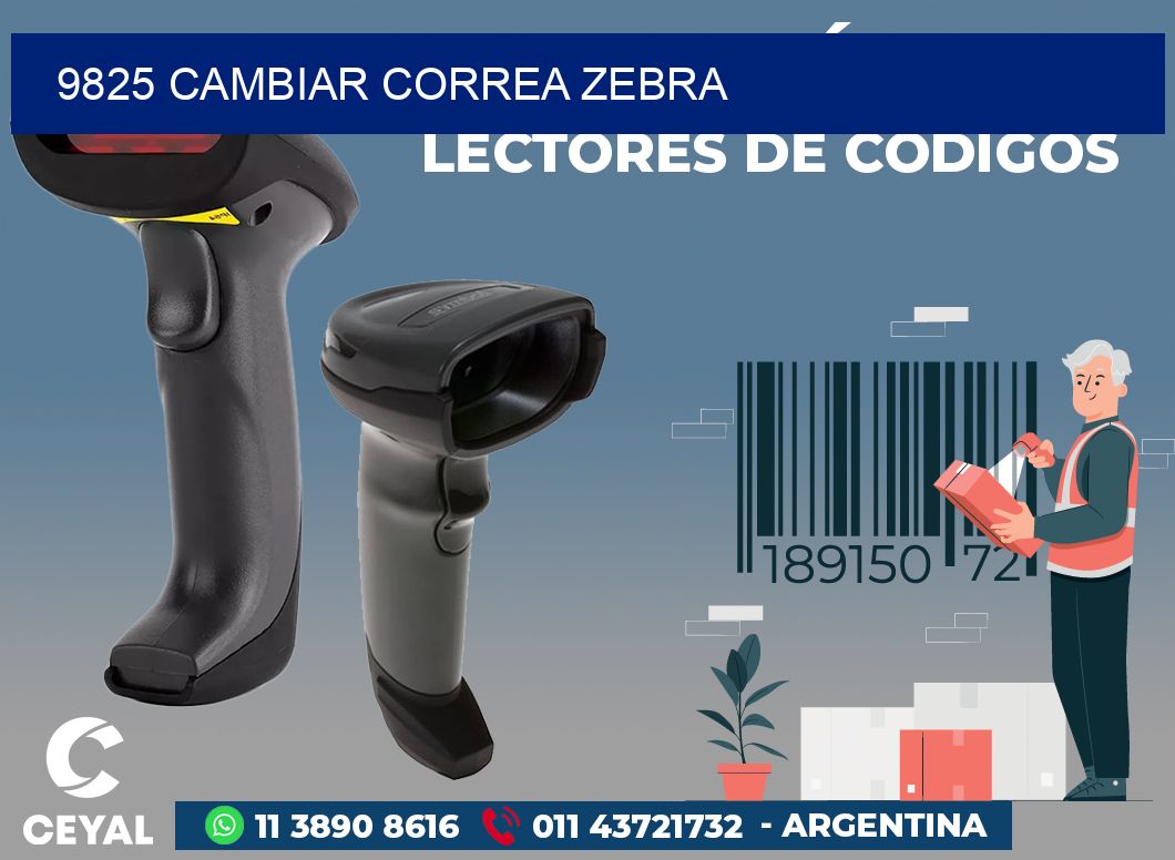 9825 CAMBIAR CORREA ZEBRA