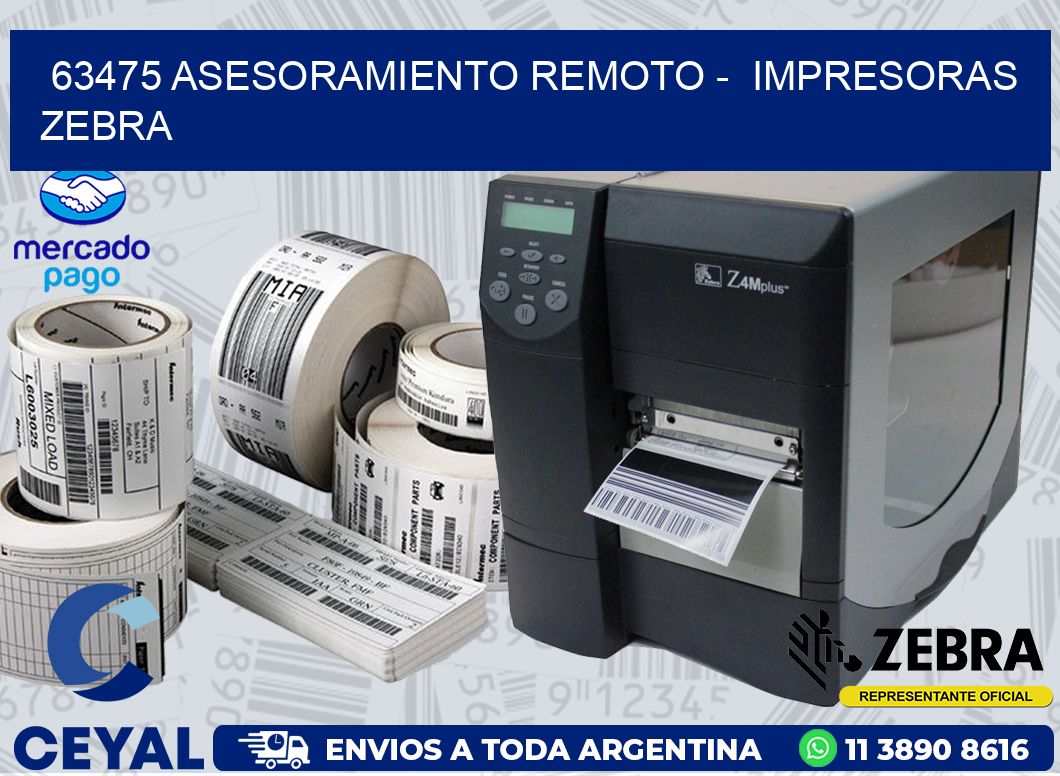 63475 ASESORAMIENTO REMOTO -  IMPRESORAS ZEBRA