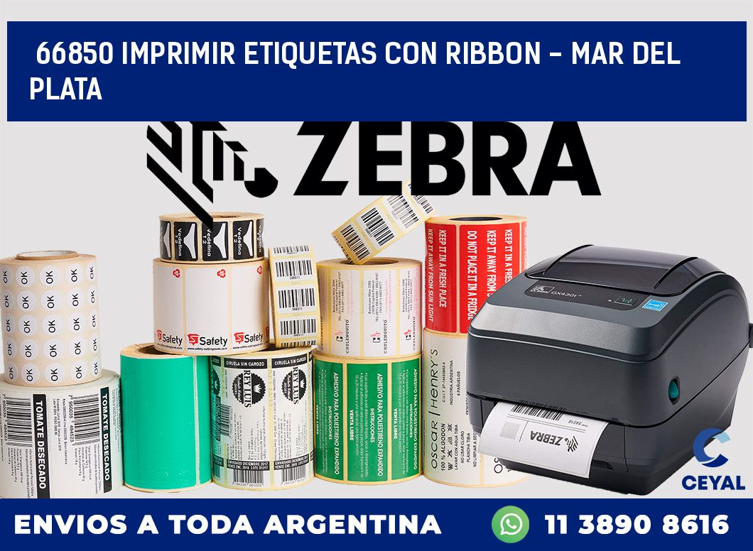 66850 IMPRIMIR ETIQUETAS CON RIBBON - MAR DEL PLATA