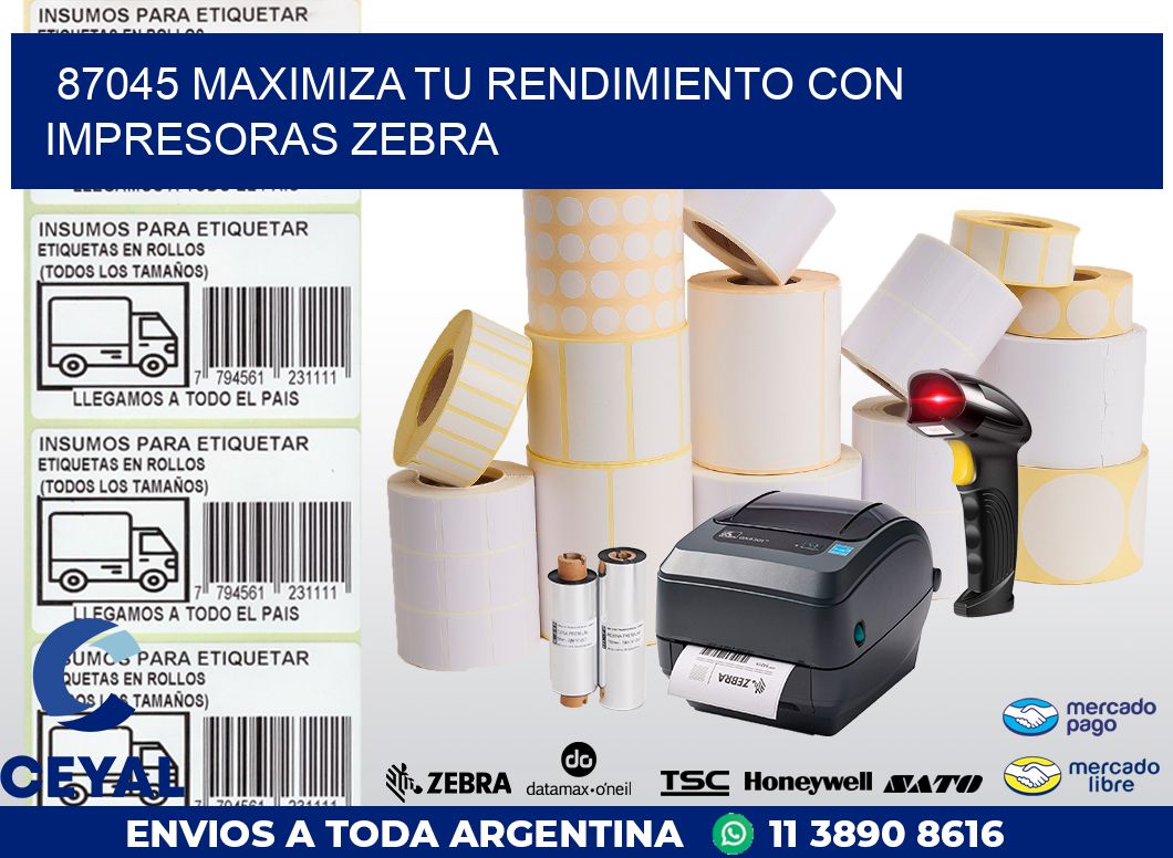 87045 MAXIMIZA TU RENDIMIENTO CON IMPRESORAS ZEBRA