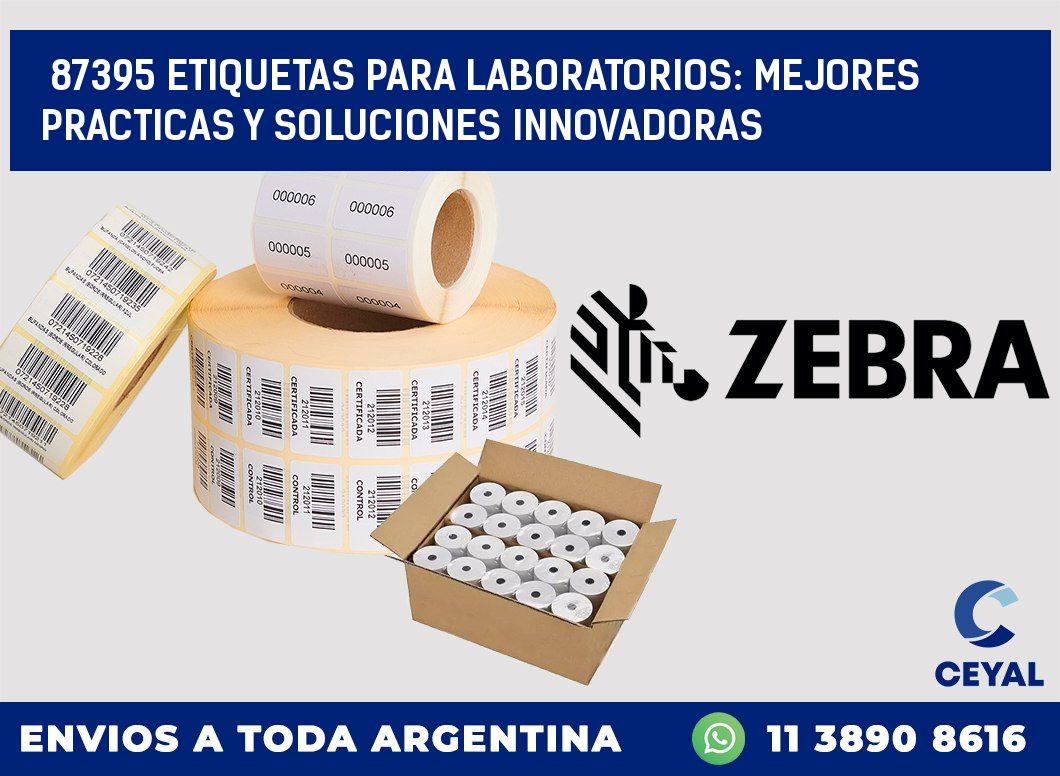 87395 ETIQUETAS PARA LABORATORIOS: MEJORES PRACTICAS Y SOLUCIONES INNOVADORAS