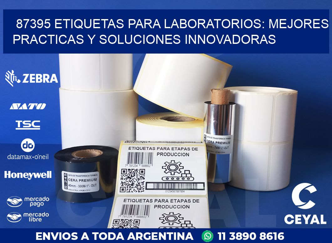 87395 ETIQUETAS PARA LABORATORIOS: MEJORES PRACTICAS Y SOLUCIONES INNOVADORAS