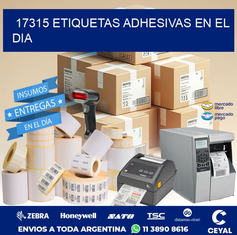 17315 ETIQUETAS ADHESIVAS EN EL DIA