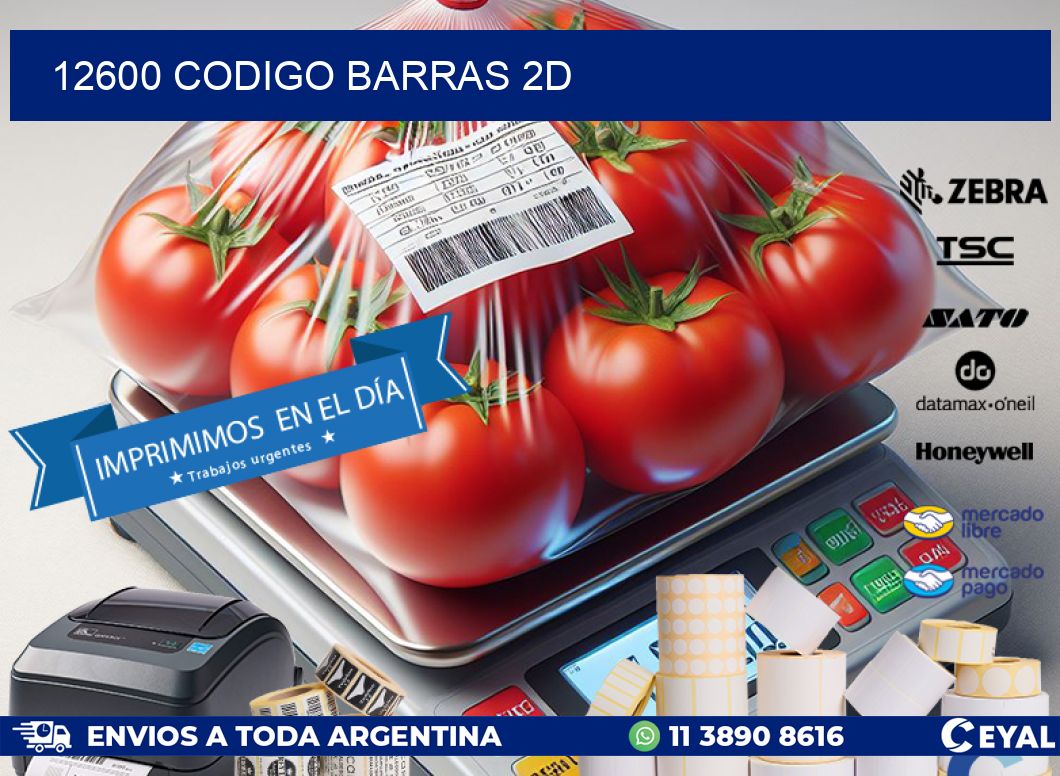 12600 CODIGO BARRAS 2D