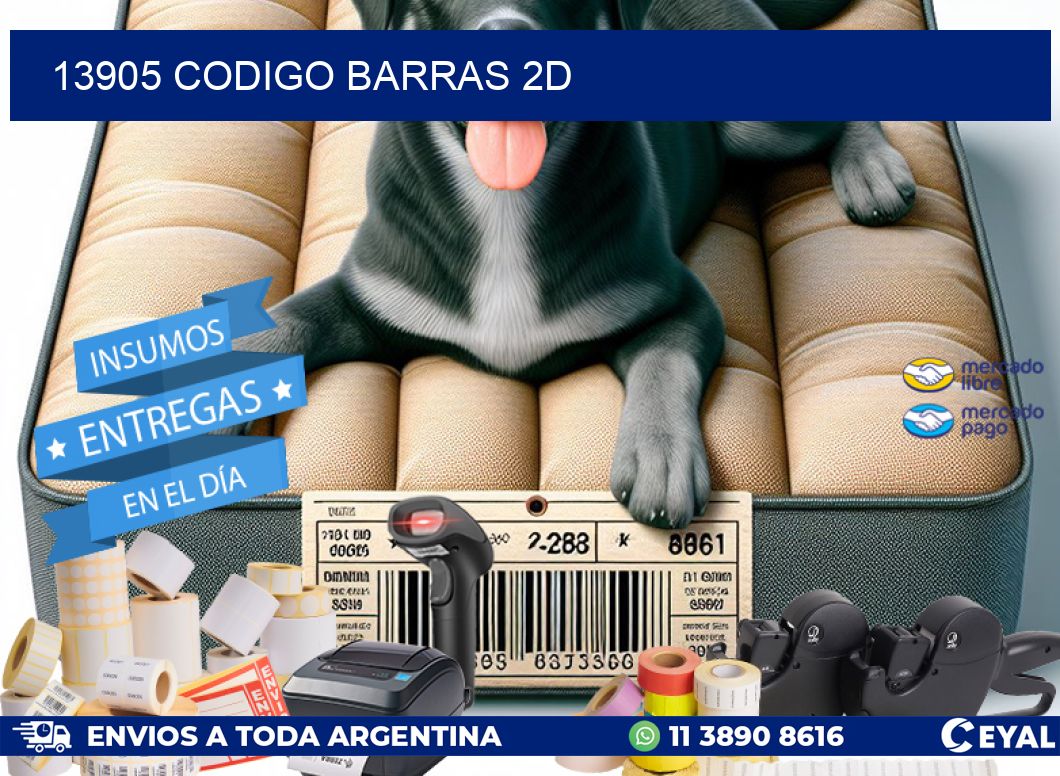 13905 CODIGO BARRAS 2D