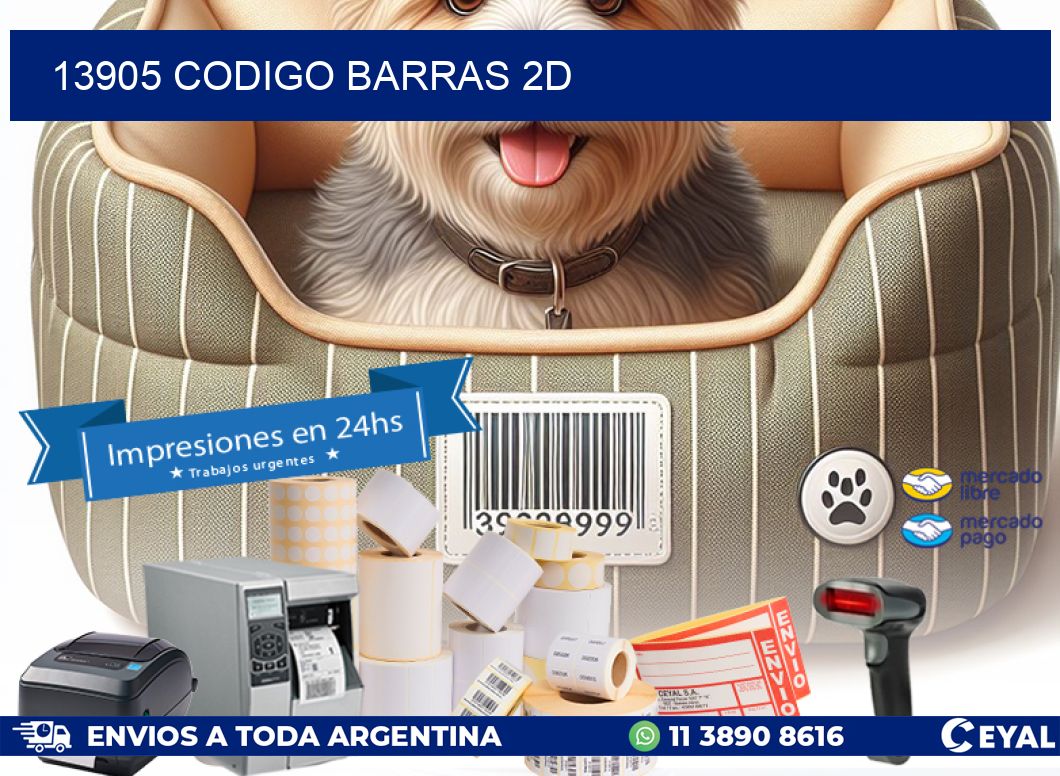 13905 CODIGO BARRAS 2D