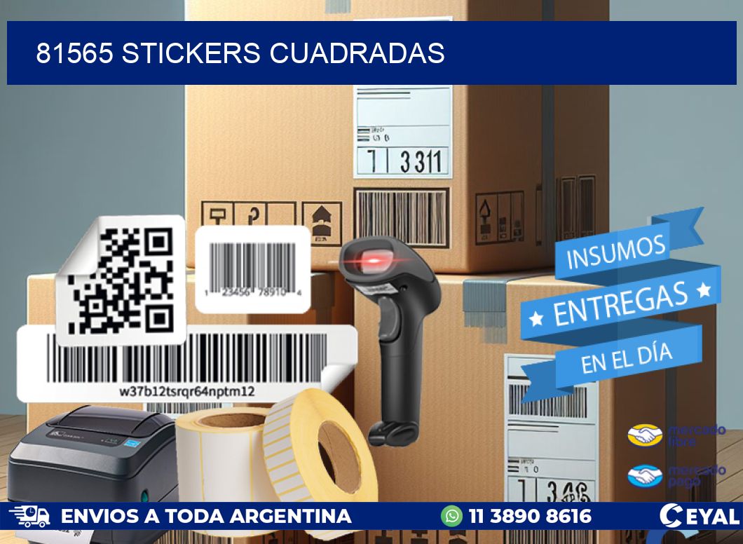 81565 stickers cuadradas